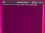 如何从终端更新 Ubuntu