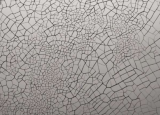 神经科学能告诉我们有关谷歌多样性备忘录的什么信息