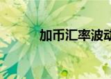 加币汇率波动下的经济影响分析