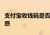 支付宝收钱码是否支持花呗支付？解答你的疑惑