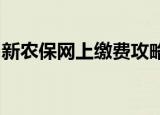新农保网上缴费攻略：轻松掌握在线缴费方法